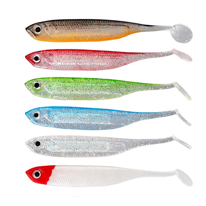 Round-Tail Minnow